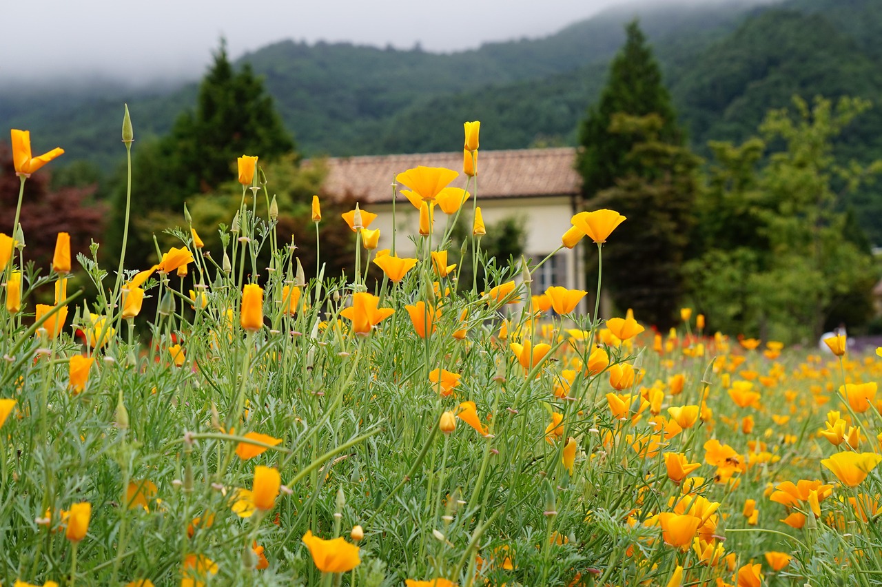 微信买卖小号：境外平台开户条件有哪些