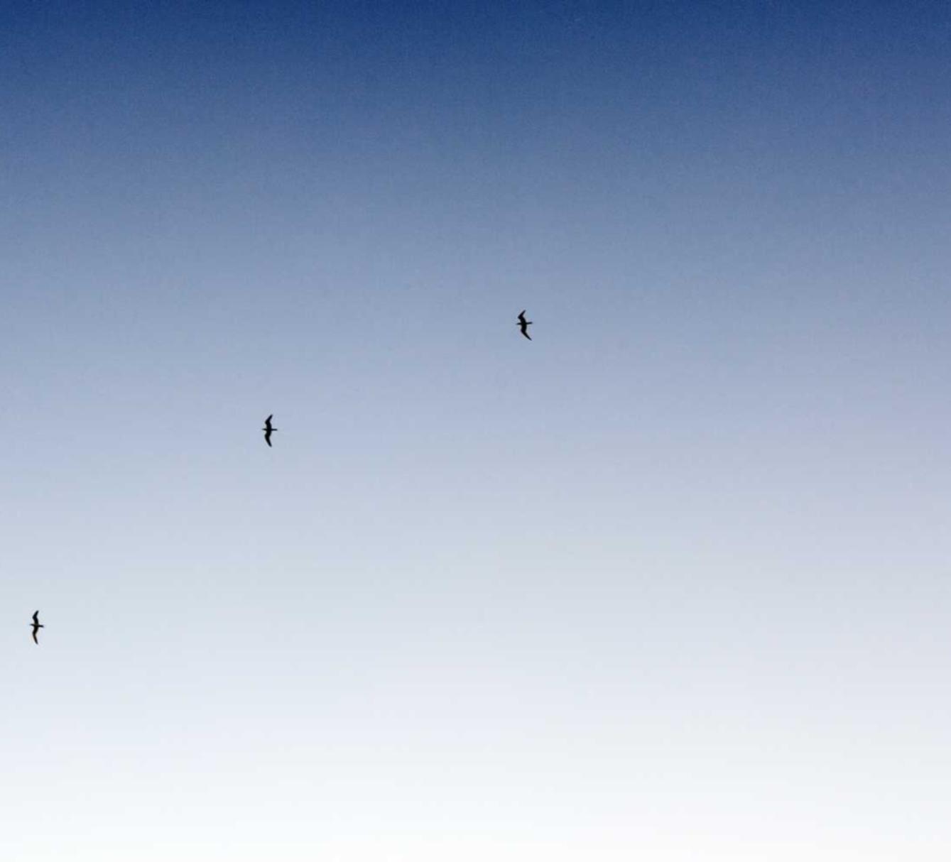 鹿鼎娱乐，注册|沪银开户有哪些平台