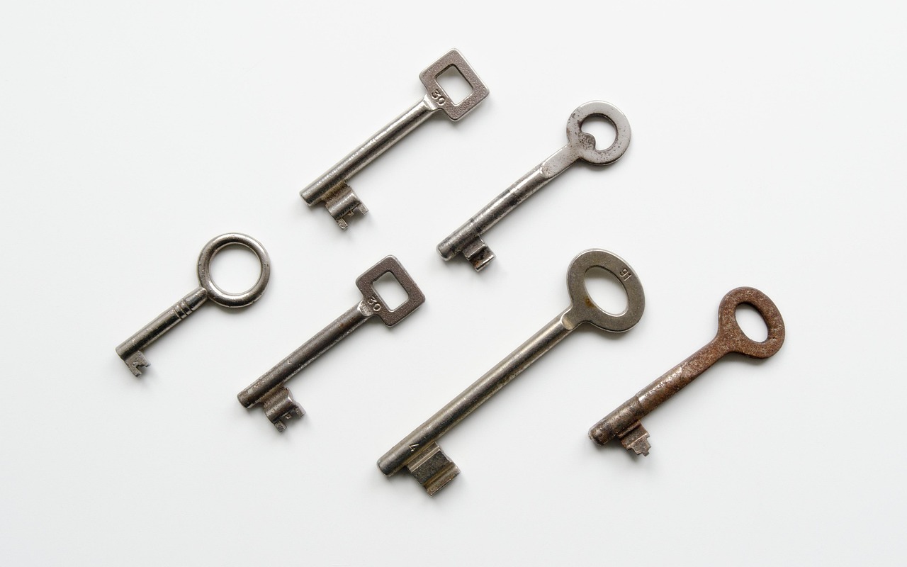 救世之树M：扇贝单词app详情下载教程