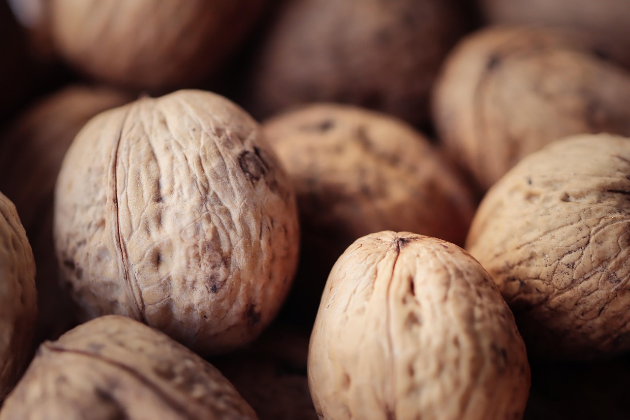 宇宙ip实名账号：用户如何应对实名社交媒体盗用账号等问题？